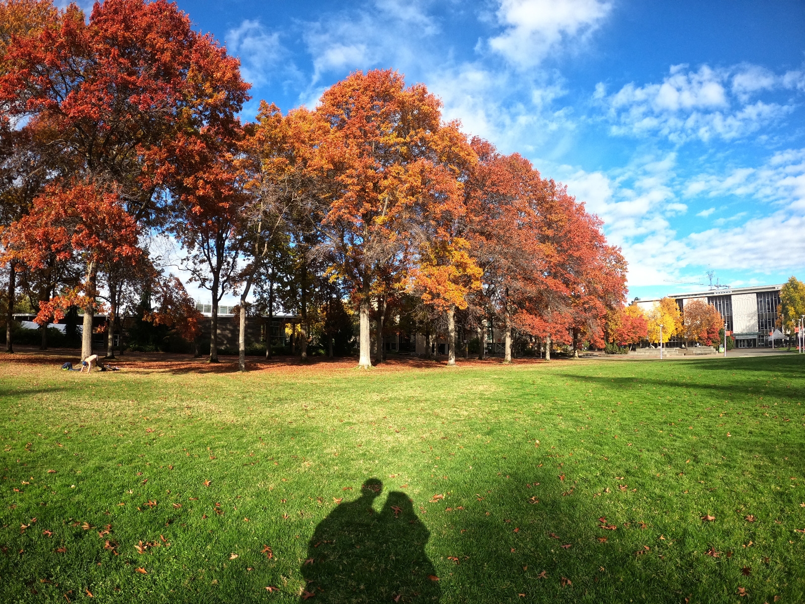 University of Victoria