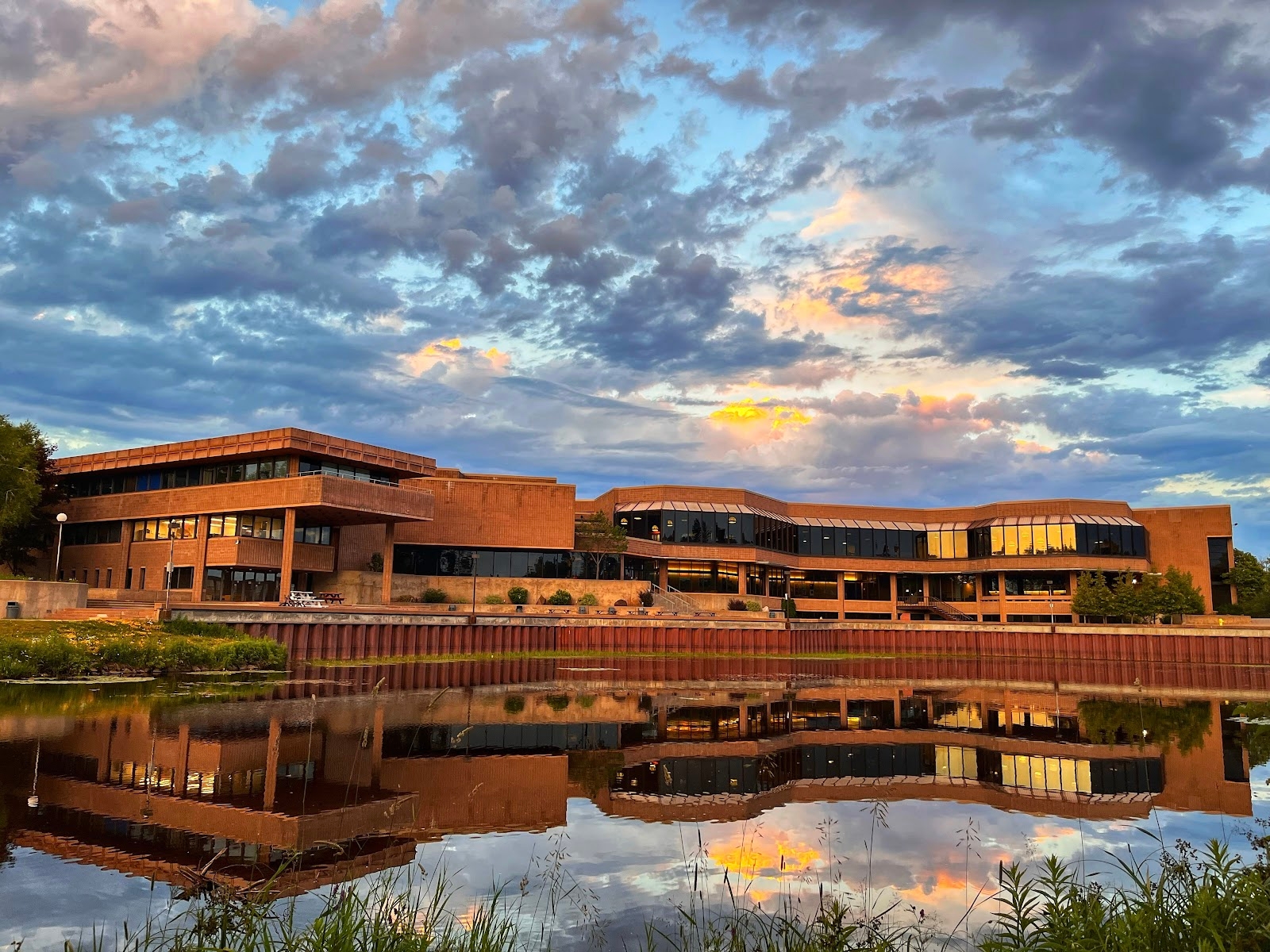 Lakehead University