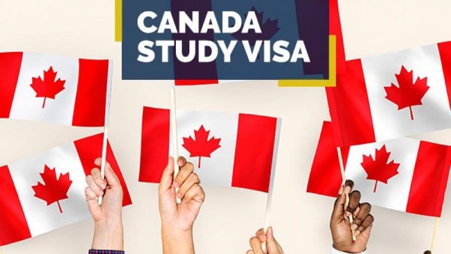 The cost of hiring a Canada study visa consultant – is it worth it?