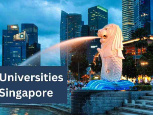 top universities in Singapore