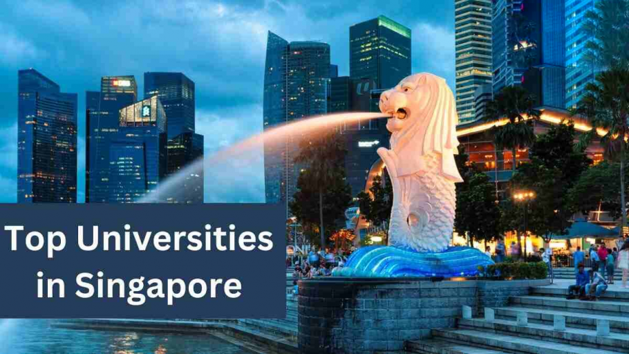 top universities in Singapore